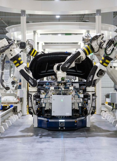 pexels photo 19233057 19233057